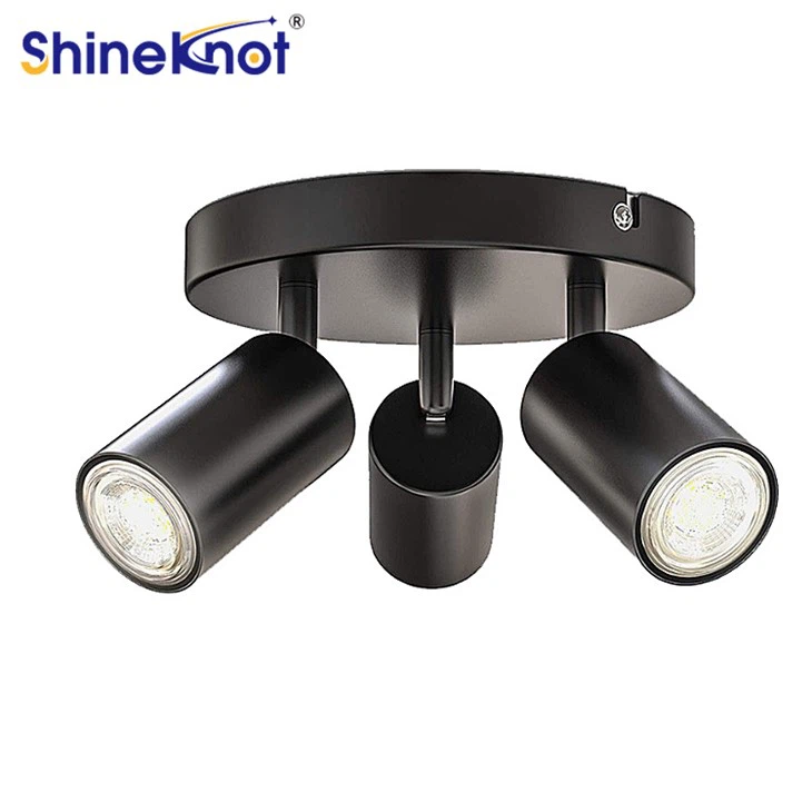 3 Head Ceiling Mounted Led Spotlight